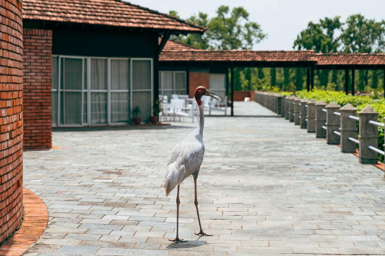 Hokke Lumbini Hotel Exterior photo